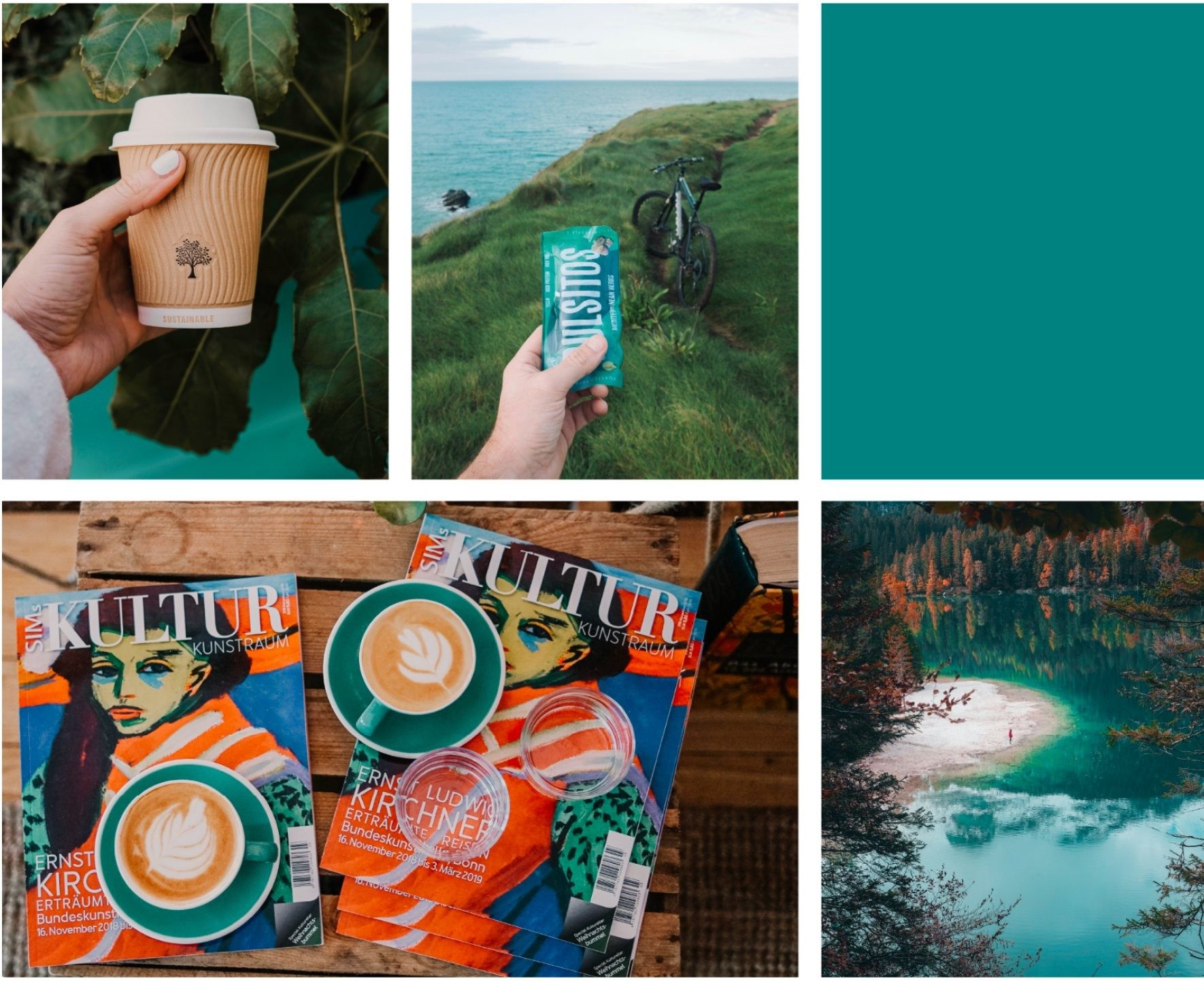 TripGoGo brand moodboard — approved by creative lead